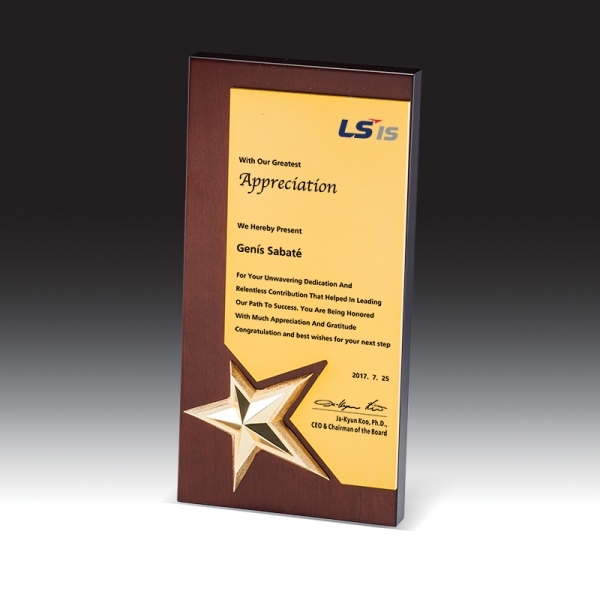 우드금속 상패 HB-7367